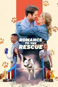    (2022)